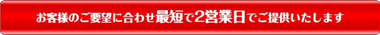 お客様のご要望に合わせ最短で2営業日でご提供いたします