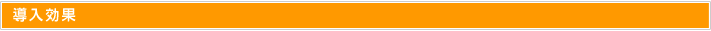導入効果